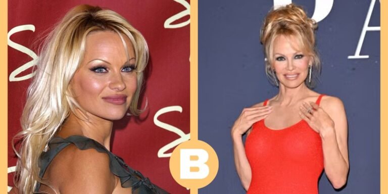 pamela anderson net worth